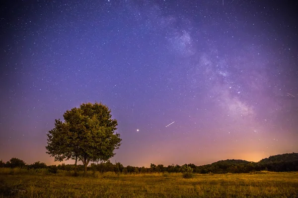 Noční scenérie: hvězdiček, louce a strom. Fialové a teplé tóny — Stock fotografie