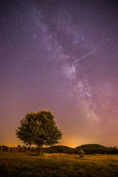 Paysage nocturne : étoiles, prairie et un arbre. Des tons violets et chauds — Photo