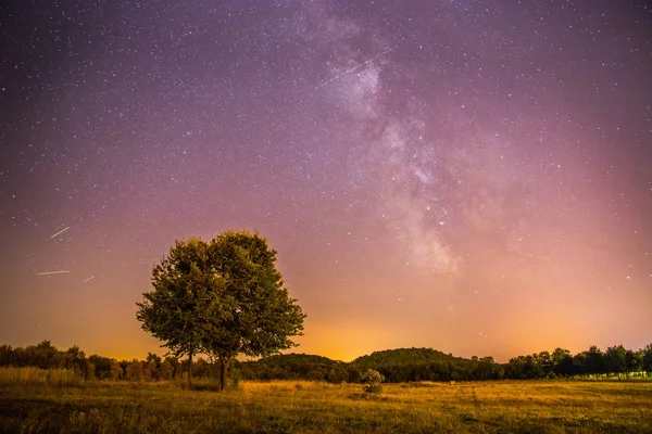 Paysage nocturne : étoiles, prairie et un arbre. Des tons violets et chauds — Photo