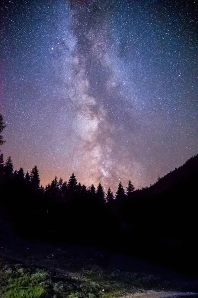 Σαφώς γαλαξία milky way τη σκοτεινή νύχτα, σιλουέτα των δέντρων — Φωτογραφία Αρχείου