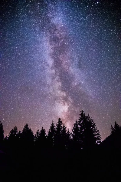 Voie clairement laiteuse galaxie à la nuit noire, silhouette d'arbres — Photo