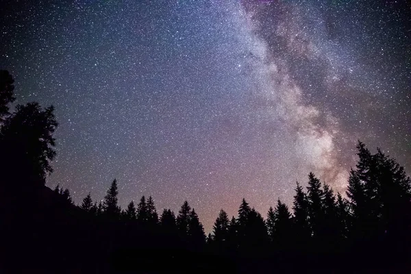 Σαφώς γαλαξία milky way τη σκοτεινή νύχτα, σιλουέτα των δέντρων — Φωτογραφία Αρχείου