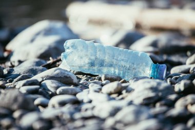 Çevre kirliliği: plaj plastik şişe