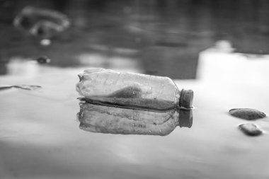 Çevre kirliliği: plaj plastik şişe