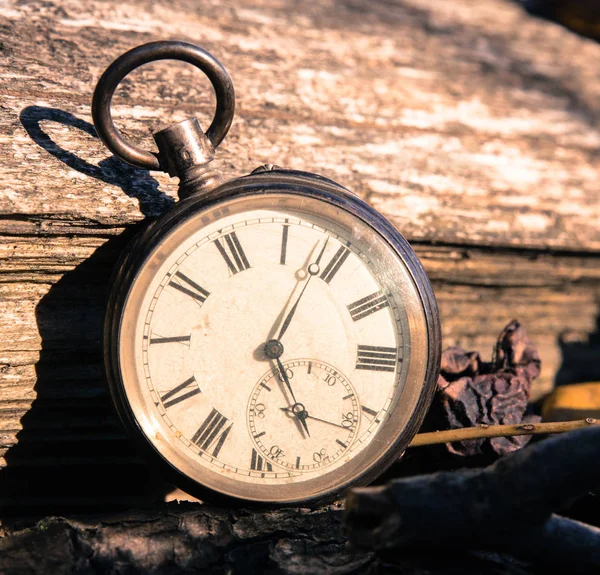 Tiden går: vintage klocka utomhus; trä och löv; — Stockfoto