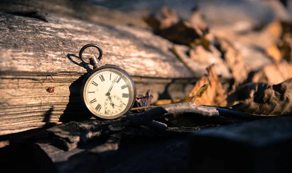 时间过去了: 户外复古手表;木材和树叶; — 图库照片