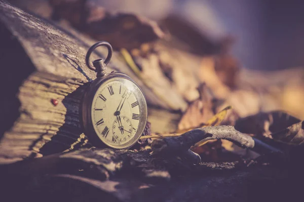 Zeit vergeht: Vintage-Uhr im Freien, Holz und Blätter; — Stockfoto