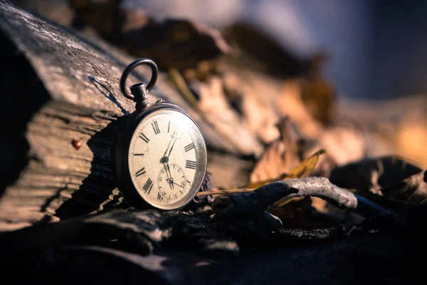 Time goes by: vintage watch outdoors; wood and leaves; — Stock Photo, Image