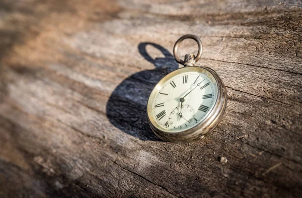 Na verloop van tijd: vintage horloge buitenshuis; hout en bladeren; — Stockfoto