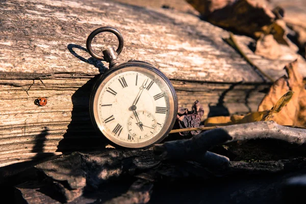 Zeit vergeht: Vintage-Uhr im Freien, Holz und Blätter; — Stockfoto