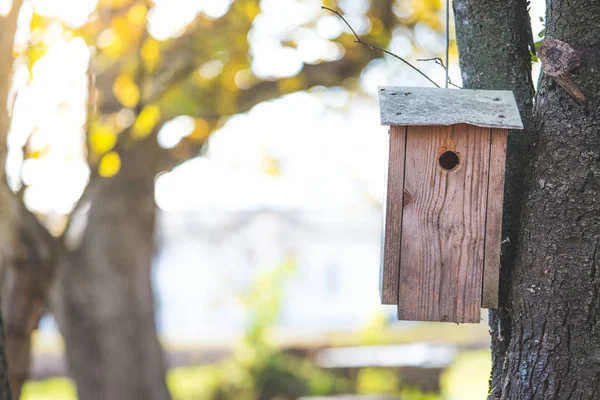 Vogelhuisje op een boom, herfst — Stockfoto