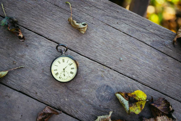 時間が経つ: ヴィンテージ時計屋外;木や葉; — ストック写真