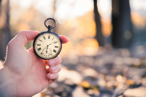 Il tempo passa: orologio vintage all'aperto, tenuto in mano; legno e foglie — Foto Stock