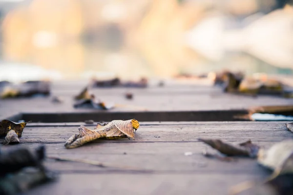 Colourful leaves on a footbridge, autumn, copy space — Stock Photo, Image