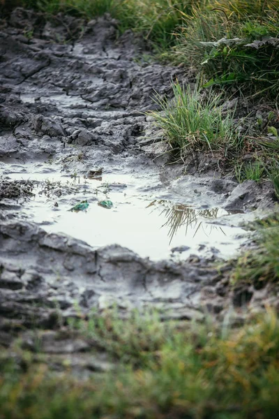 Schlammpfütze auf Feld, Wasser — Stockfoto