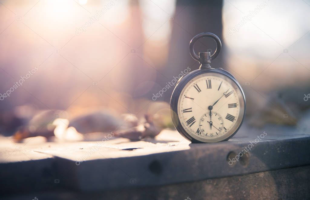 Time goes by: vintage watch outdoors; wood, leaves and sunshine;