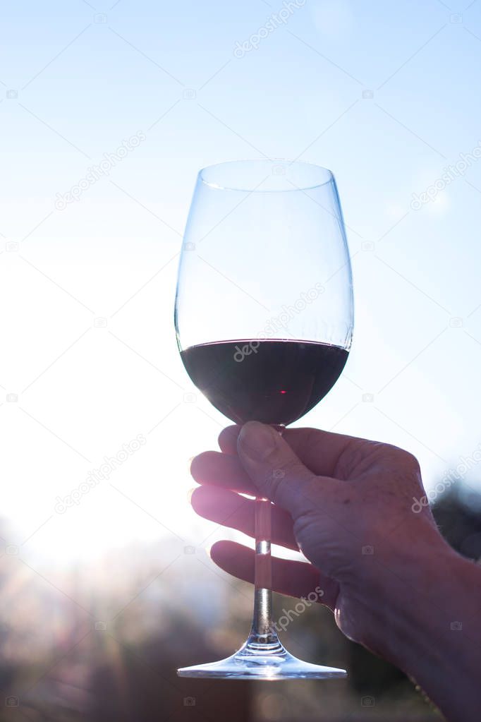 Белая женщина держит в руках бокал красного вина, вырезанный . #253369744 -  Ларасток