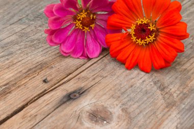 Rustik ahşap masada güzel sevimli çiçekler düzenlemesi. 