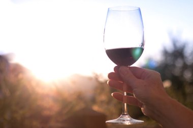 Asma bir bardak akşam zevk. Elinde tutan cam.