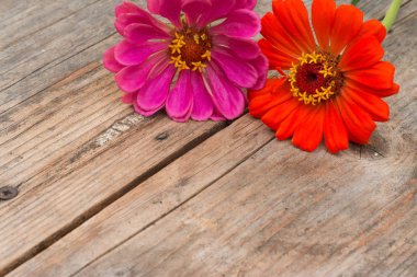 Rustik ahşap masada güzel sevimli çiçekler düzenlemesi. 