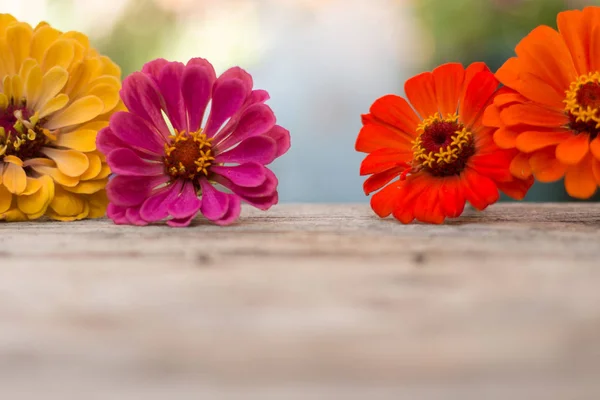 Arranjo de belas flores bonitos em uma mesa de madeira rústica . — Fotografia de Stock