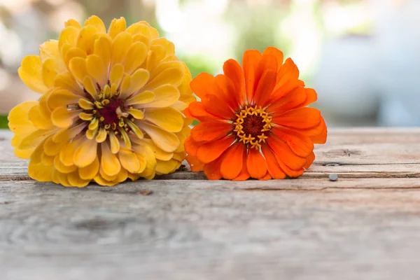 Διαρρύθμιση των όμορφων λουλουδιών σε ένα ρουστίκ ξύλινο τραπέζι. — Φωτογραφία Αρχείου