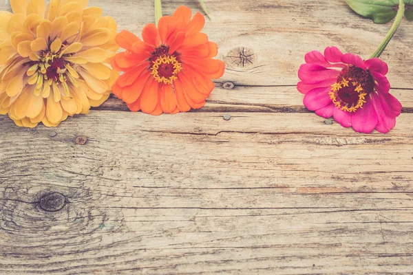 Аранжування красивих милих квітів на сільському дерев'яному столі . — стокове фото