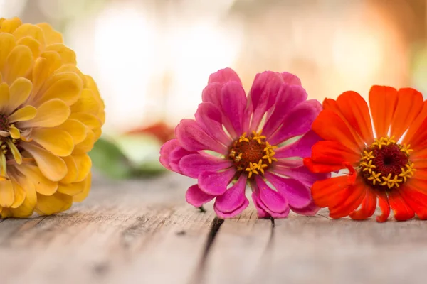 Arranjo de belas flores bonitos em uma mesa de madeira rústica . — Fotografia de Stock