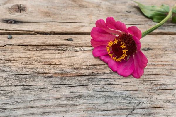 Arranjo de belas flores bonitos em uma mesa de madeira rústica . — Fotografia de Stock