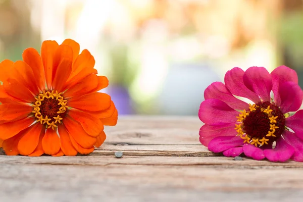 Arranjo de belas flores bonitos em uma mesa de madeira rústica . — Fotografia de Stock