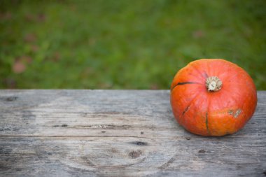 Sonbahar ve hasat: kabak rustik, ahşap tabl üzerinde yalan