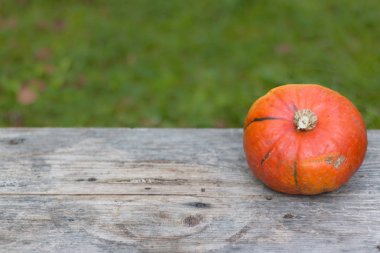 Sonbahar ve hasat: kabak rustik, ahşap tabl üzerinde yalan