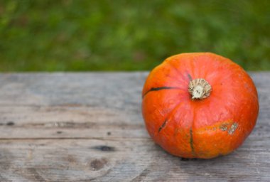 Sonbahar ve hasat: kabak rustik, ahşap tabl üzerinde yalan