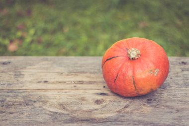 Sonbahar ve hasat: kabak rustik, ahşap tabl üzerinde yalan