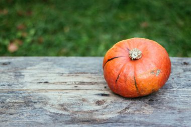 Sonbahar ve hasat: kabak rustik, ahşap tabl üzerinde yalan