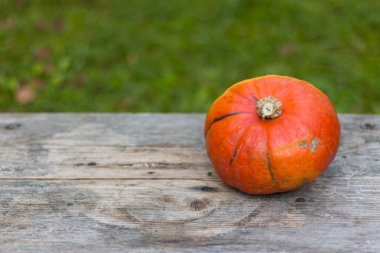 Sonbahar ve hasat: kabak rustik, ahşap tabl üzerinde yalan