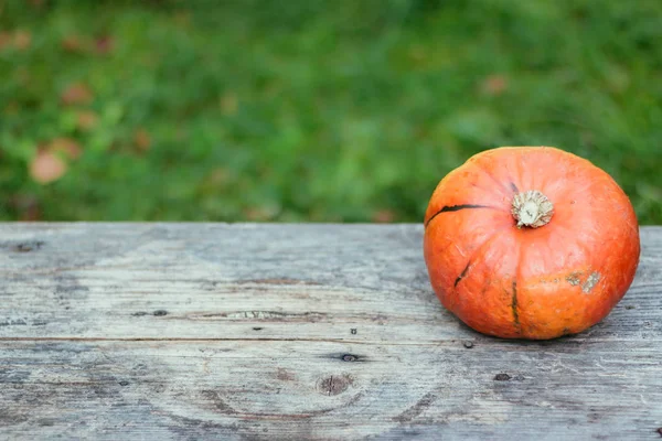 Sonbahar ve hasat: kabak rustik, ahşap tabl üzerinde yalan