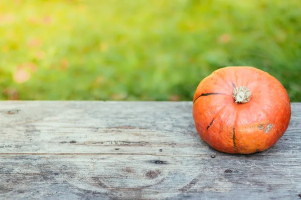 Otoño y cosecha: La calabaza está acostada en una mesa rústica de madera — Foto de Stock