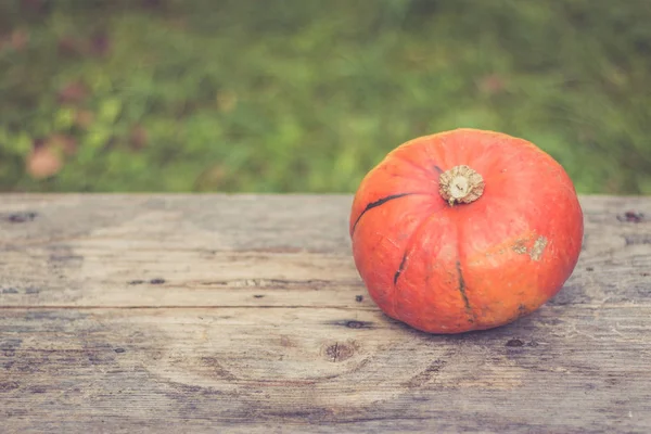 Sonbahar ve hasat: kabak rustik, ahşap tabl üzerinde yalan