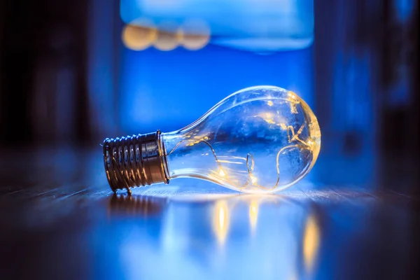 Ötletek és újítások: a villanykörte LED-ekkel a erdős-on fekszik. — Stock Fotó