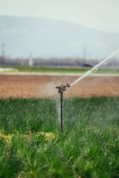 Système de plantes d'irrigation sur un champ, l'agriculture et les plantes — Photo