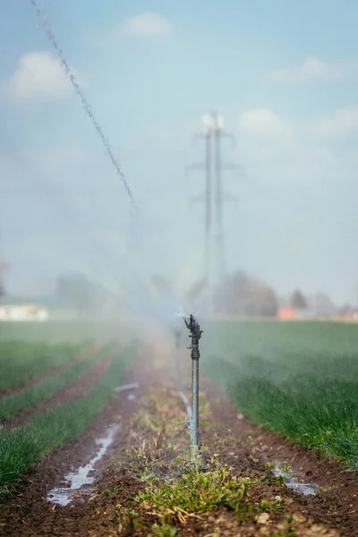 Sistema d'impianto d'irrigazione su un campo, un'agricoltura e impianti — Foto Stock