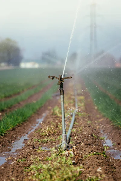 Irrigation plant system on a field, agriculture and plants — Stock Photo, Image