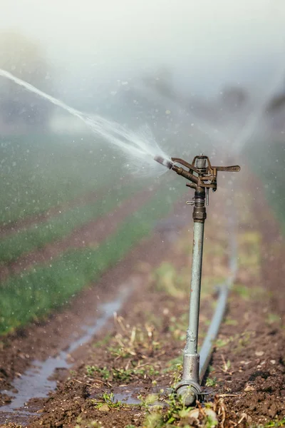 Sistema d'impianto d'irrigazione su un campo, un'agricoltura e impianti — Foto Stock
