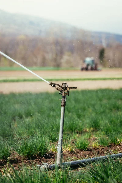 Impianto di irrigazione su un campo, agricoltura. Trattore nel — Foto Stock