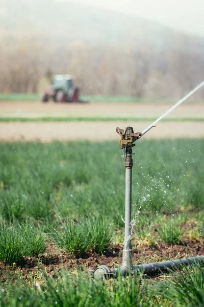 Impianto di irrigazione su un campo, agricoltura. Trattore nel — Foto Stock