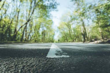 Gezi veya macera: Bir caddenin yakın çekim perspektifi, orman