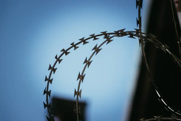 Alambre de púas en la prisión o en la base militar, cerca de la perspectiva —  Fotos de Stock
