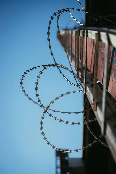 Barbed wire in the prison or on military base, close up perspect — Stock Photo, Image