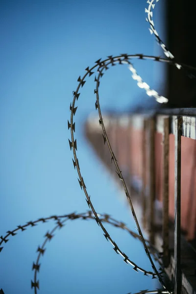 Alambre de púas en la prisión o en la base militar, cerca de la perspectiva —  Fotos de Stock